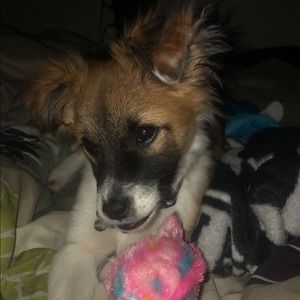 Meet your Posher, Olivia